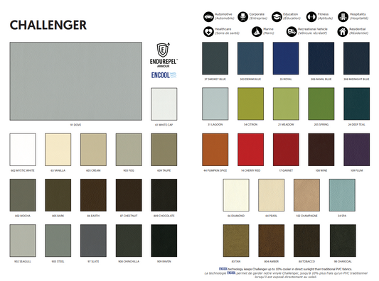 Colour Chart Challenger Vinyl